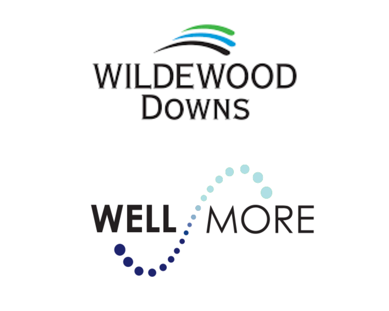 wellmore